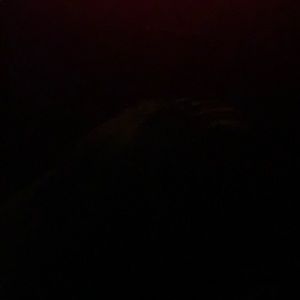 Yeezy boost 350- already sold